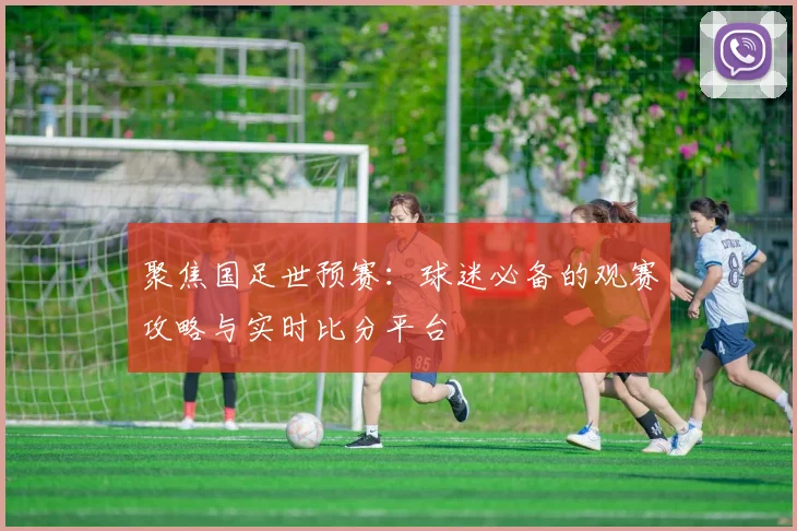 聚焦国足世预赛：球迷必备的观赛攻略与实时比分平台