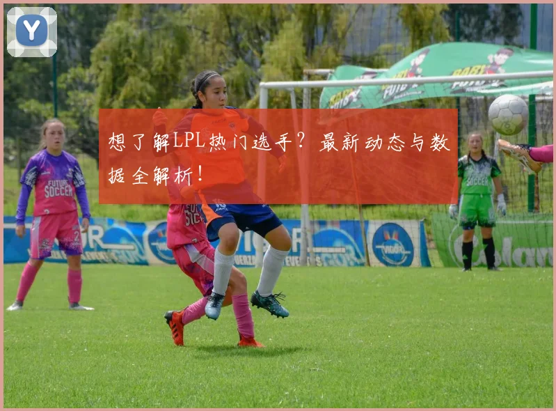 想了解LPL热门选手？最新动态与数据全解析！
