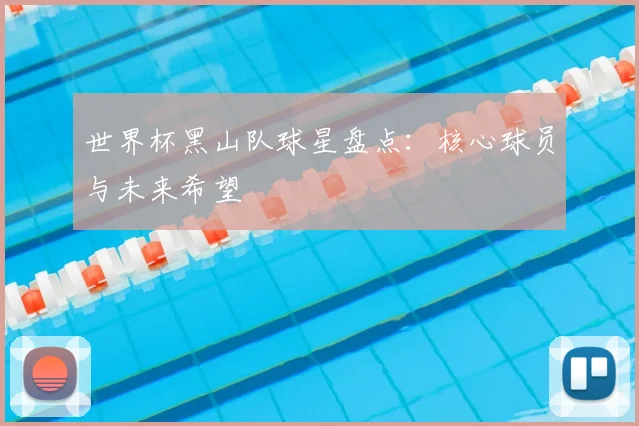 世界杯黑山队球星盘点：核心球员与未来希望