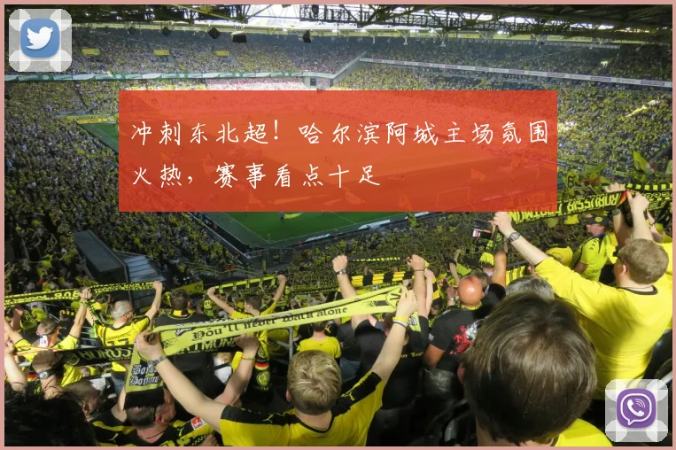 冲刺东北超！哈尔滨阿城主场氛围火热，赛事看点十足