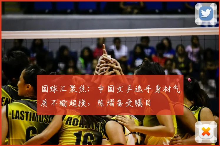 国球汇聚焦：中国女乒选手身材气质不输超模，陈熠备受瞩目