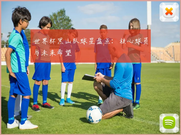 世界杯黑山队球星盘点:核心球员与未来希望